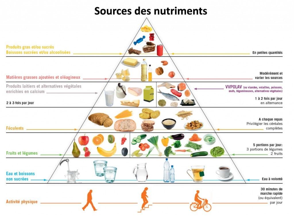nutriments, pyramide alimentaire, fruits, légumes, céréales, poissons, viande, activités pysique