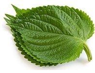 img_feuille
