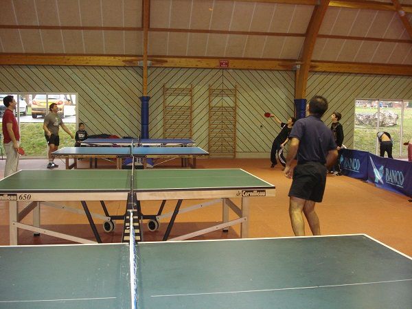 Les principaux avantages de la pratique du tennis de table – Msport