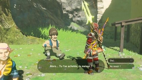 Une Affaire En Plein Essor Soluce Superzelda