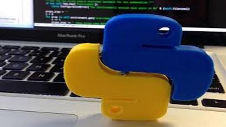 Mini Programming Projects for The Python Beginner - aryacollege.over ...
