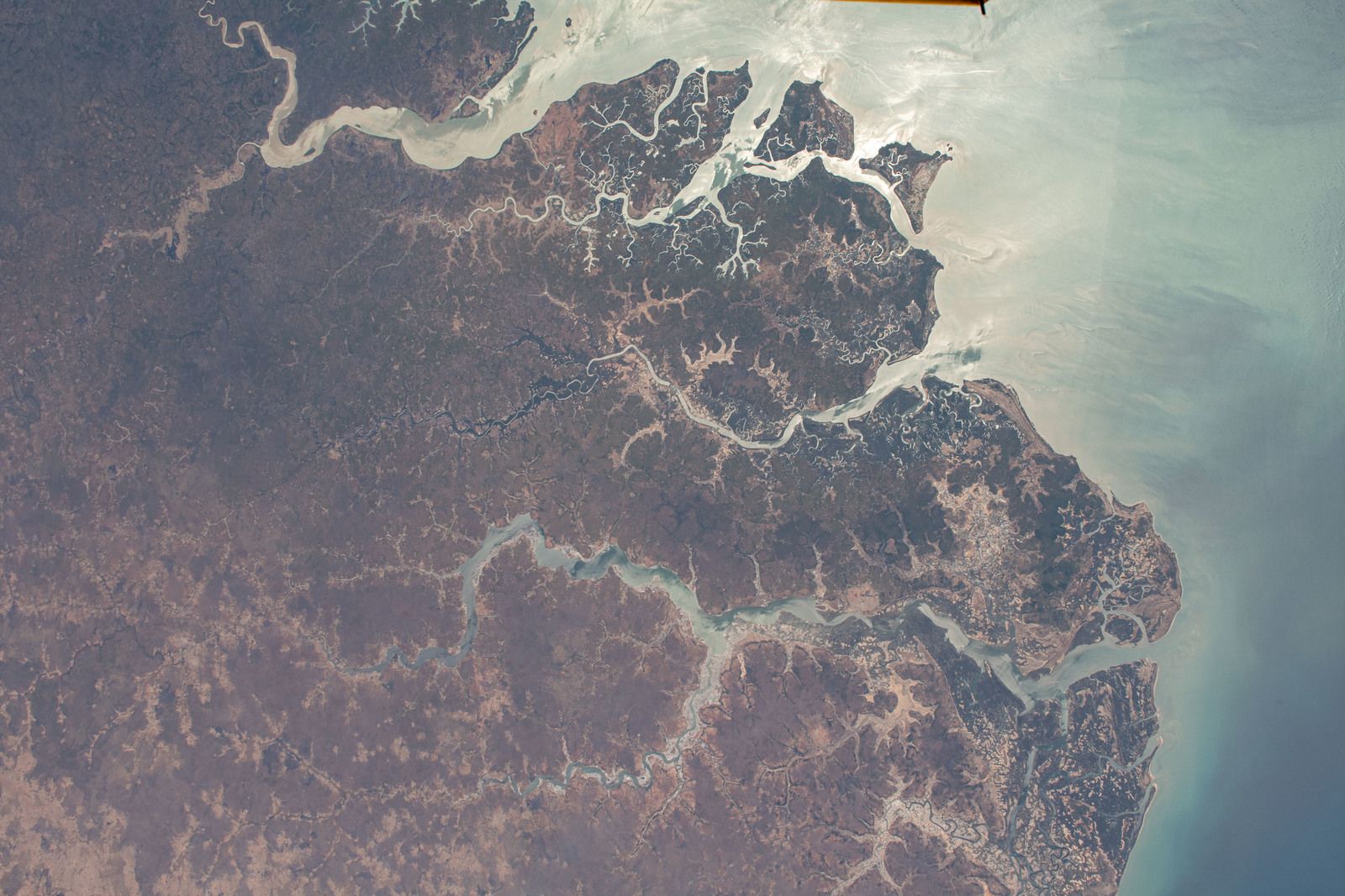 Rio Geba in Guinea-Bissau ( pictured from the International Space Station)