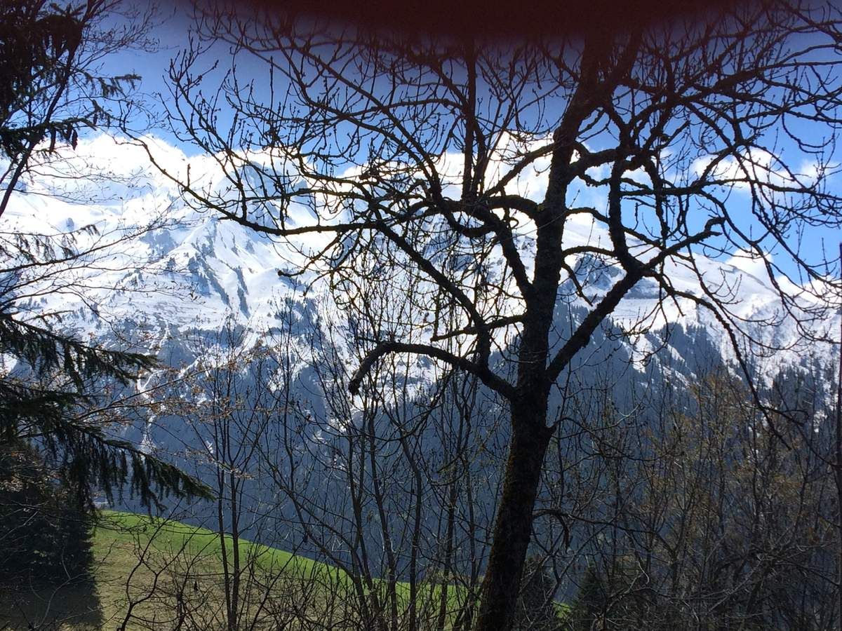 SEJOUR ST JEAN DE SIXT