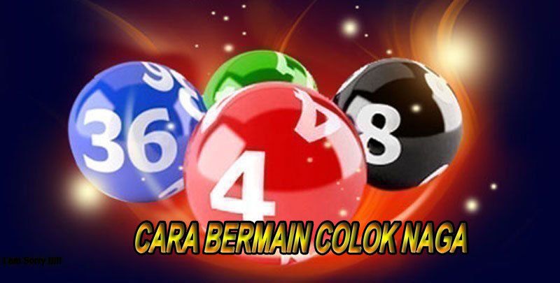 Memahami Cara Bermain Colok Naga Pada Togel Online