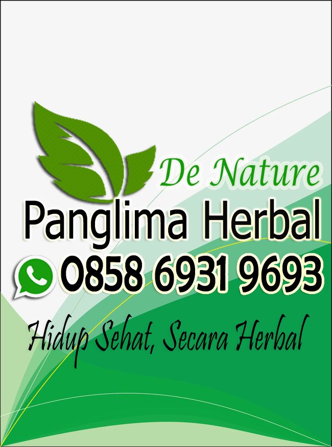 Kontak Resmi Panglimaherbal 