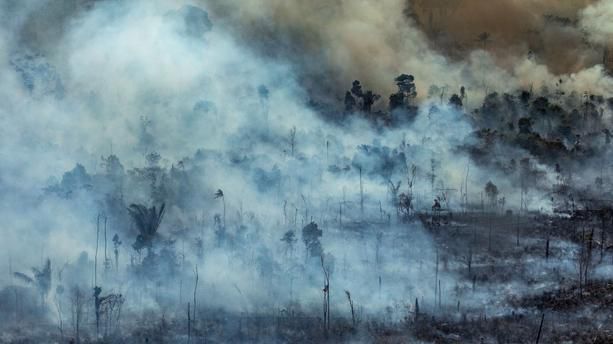 Incendies en Amazonie, l'émotion mondiale