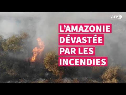 Les incendies en Amazonie