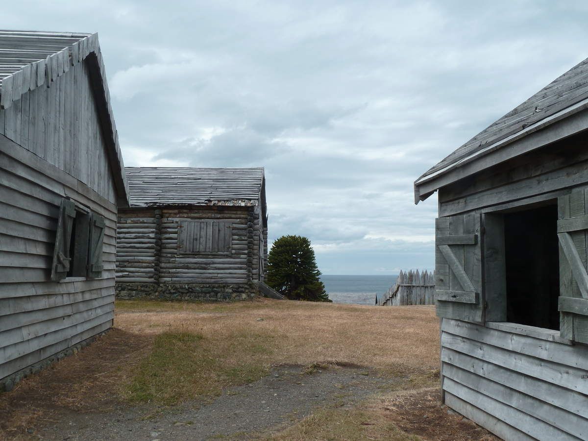 Punta Arenas Reserva Magallanes et promenade du phare San Isidro