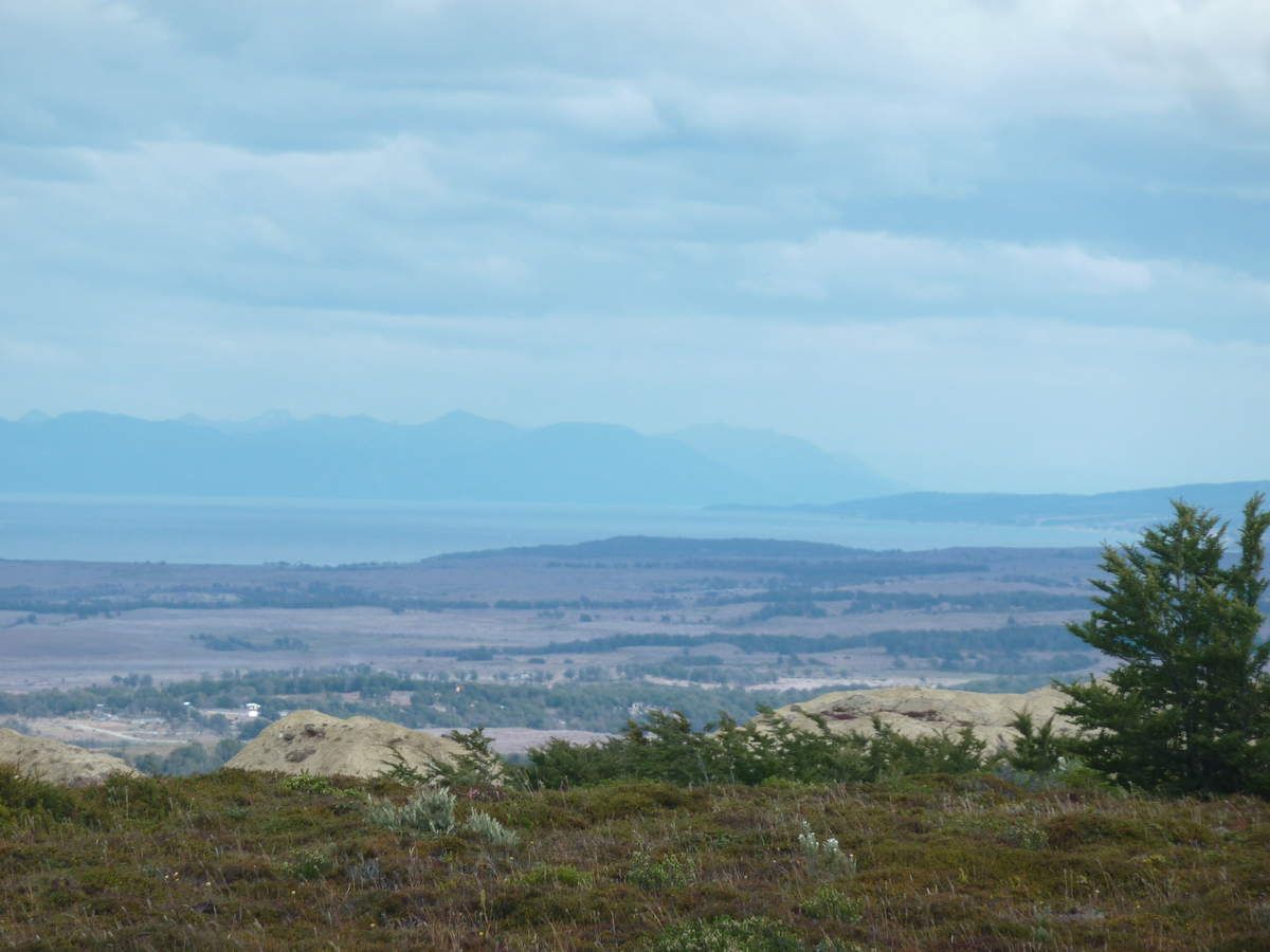 Punta Arenas Reserva Magallanes et promenade du phare San Isidro