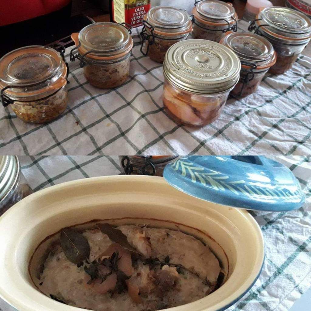 Terrine de campagne et pâtės en conserve Marraine met son grain de sel