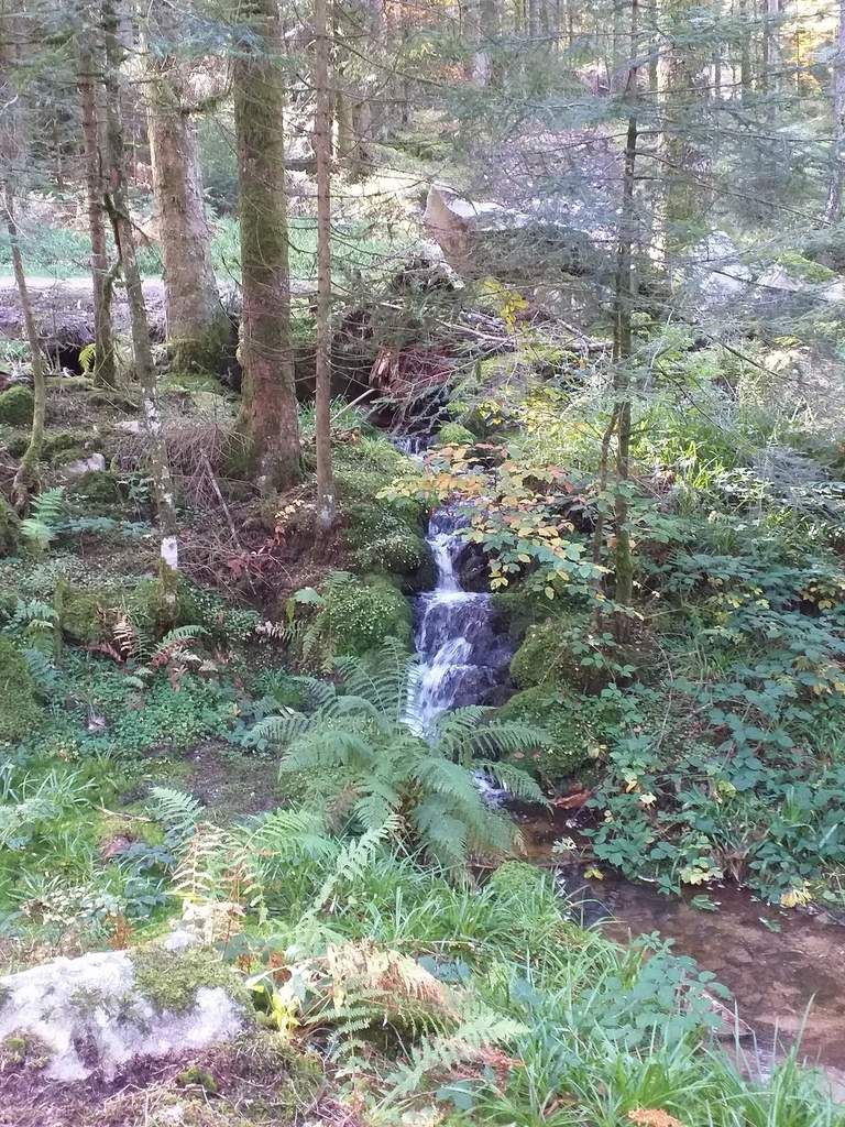 Vosges Cascade de la PISSOIRE et Haut du TÔT. Thierry.Randonnées.70 Vosges Cascade de la PISSOIRE et Haut du TÔT. Thierry.Randonnées.70