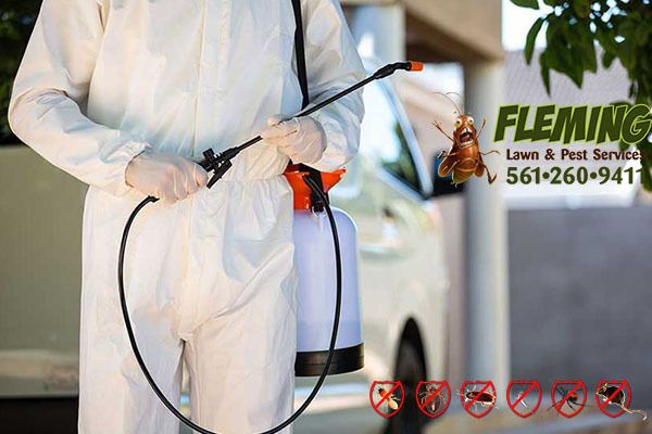 Best Guidelines For Choosing A Pest Control Company Fleming Lawn And Pest Services