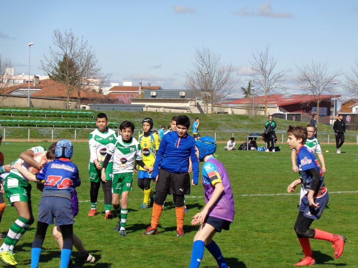 Tournoi à Sainte Foy-Lès-Lyon sous un soleil printanier pour les jeunes  tigres de Charpennes Tonkin Tigers Rugby League - Charpennes Tonkin Tigers  Rugby League