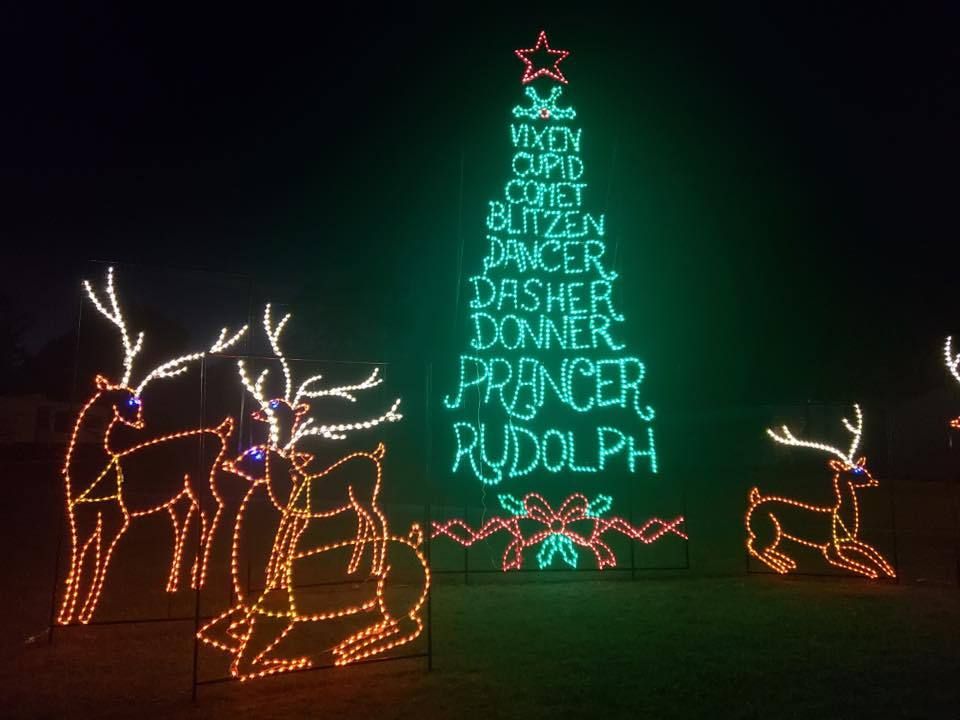 outdoor led christmas decorations