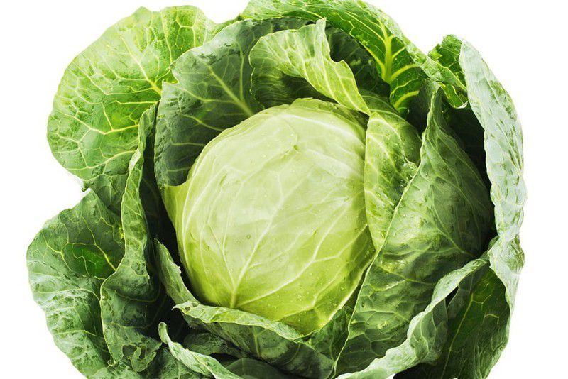 Here are some medicinal virtues of Cabbage - lavievoit-togo.com