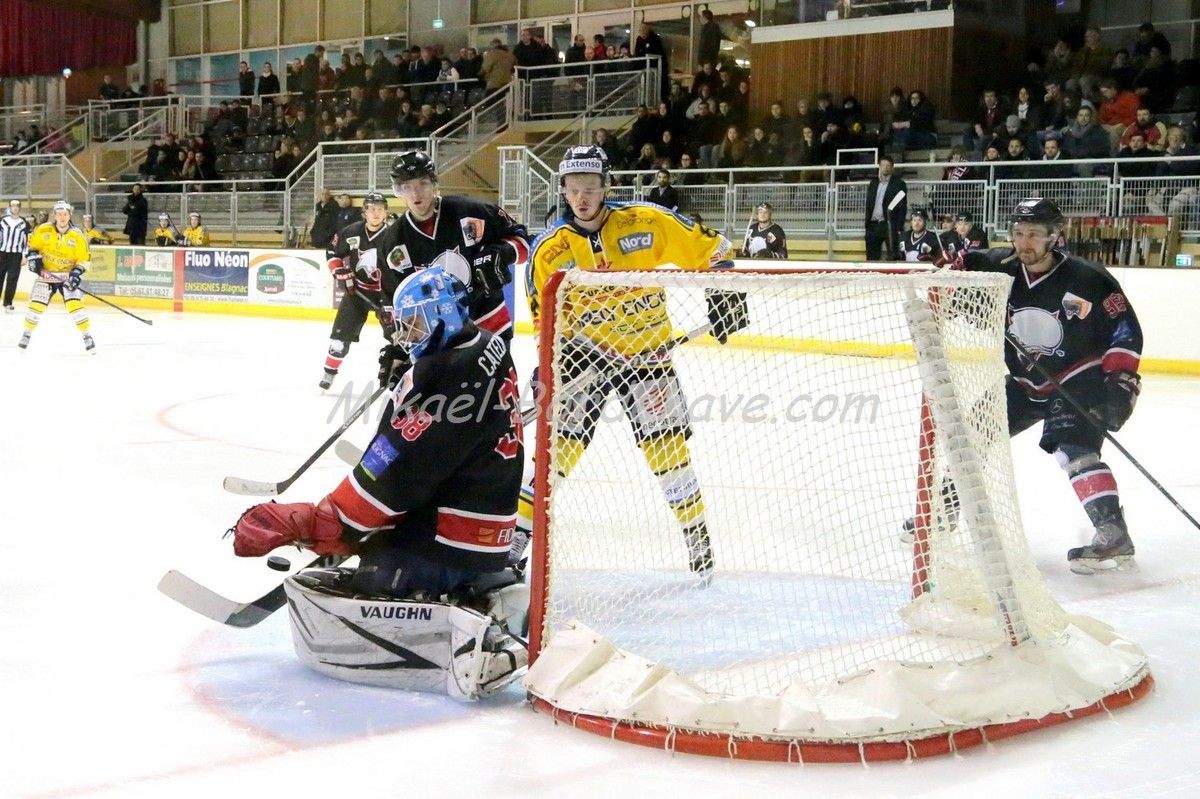 Les Belougas du THBC Vs Dunkerque 2015