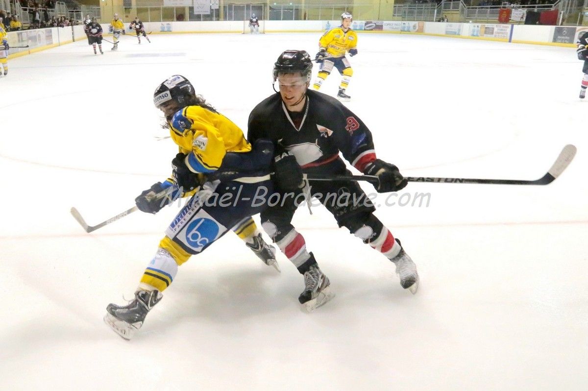 Les Belougas du THBC Vs Dunkerque 2015