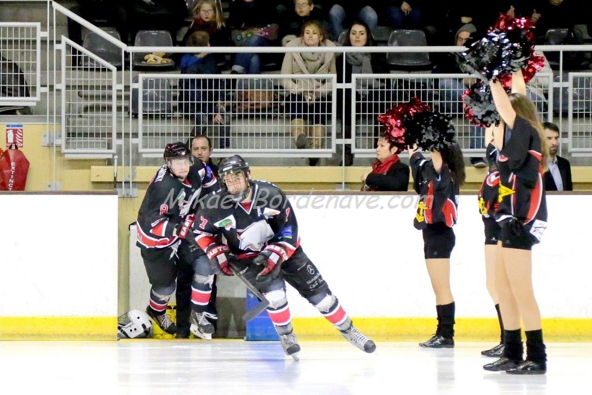 Les Belougas du THBC Vs Dunkerque 2015