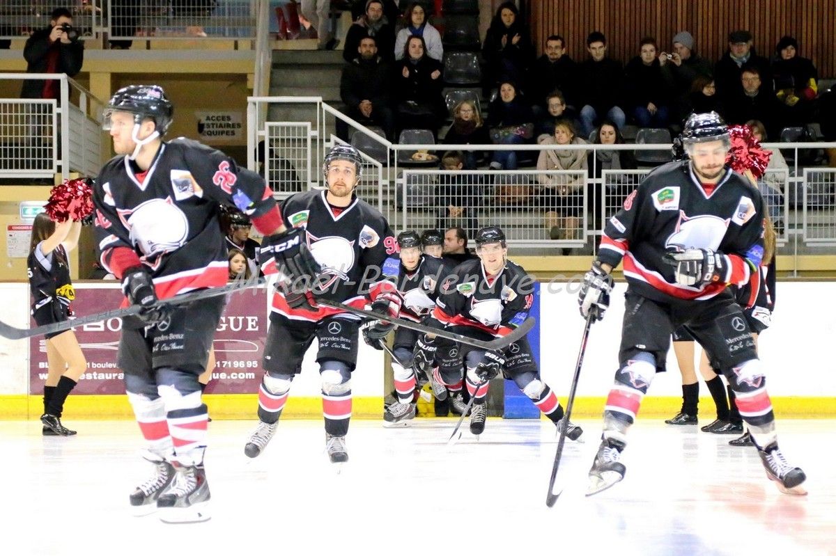 Les Belougas du THBC Vs Dunkerque 2015