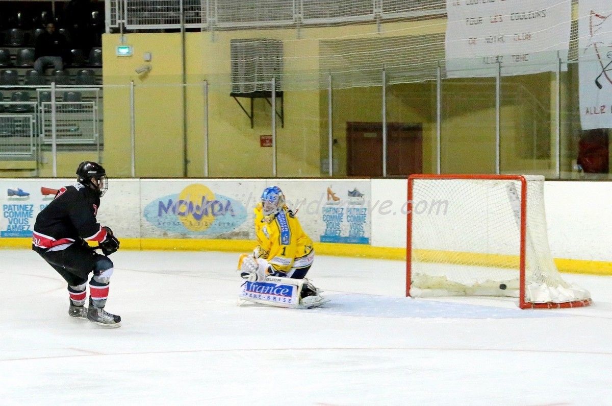 Les Belougas du THBC Vs Dunkerque 2015