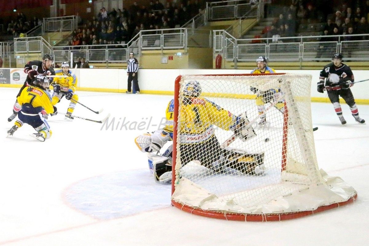 Les Belougas du THBC Vs Dunkerque 2015