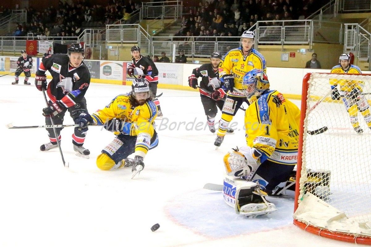 Les Belougas du THBC Vs Dunkerque 2015