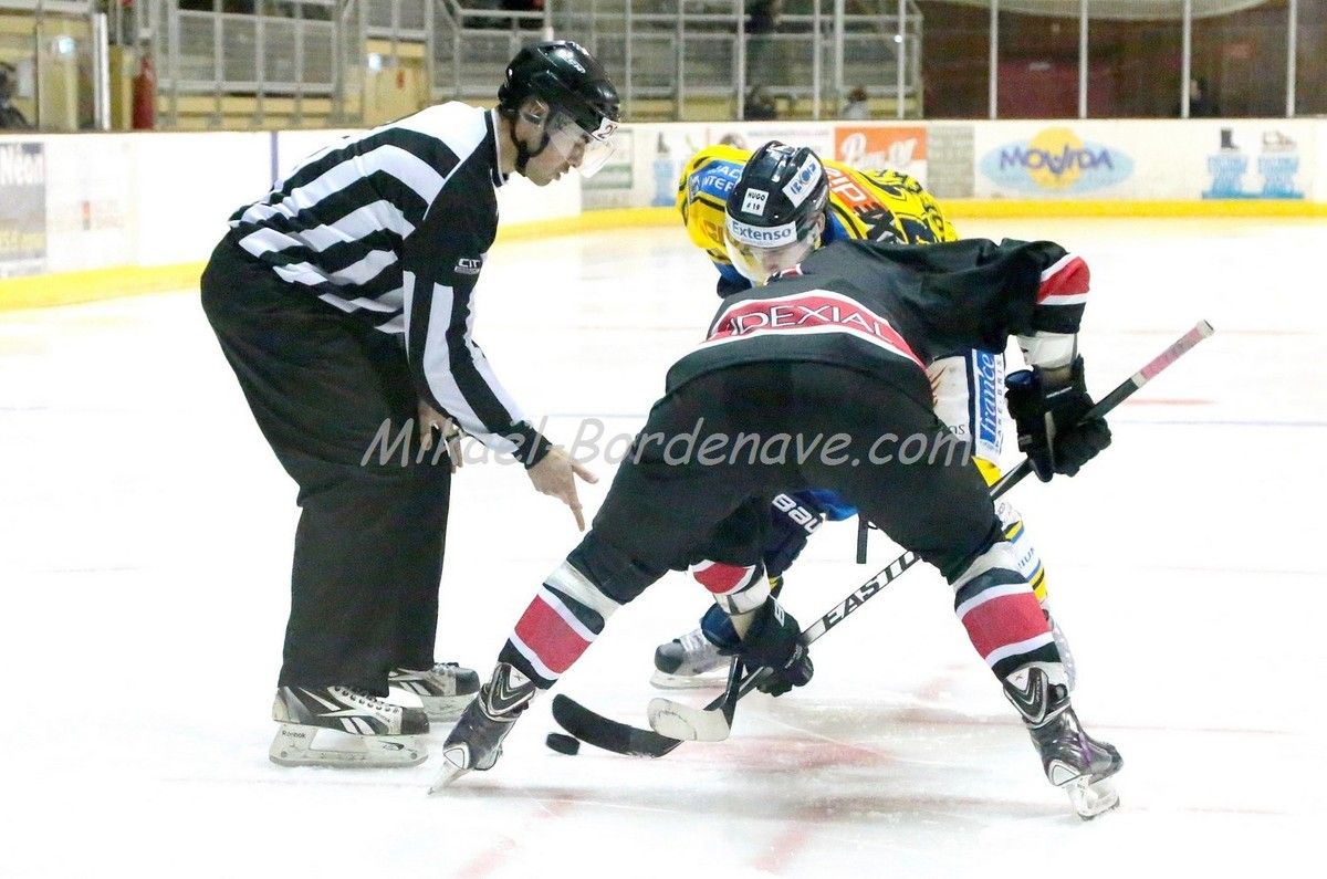 Les Belougas du THBC Vs Dunkerque 2015