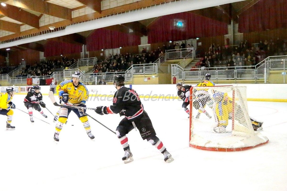 Les Belougas du THBC Vs Dunkerque 2015