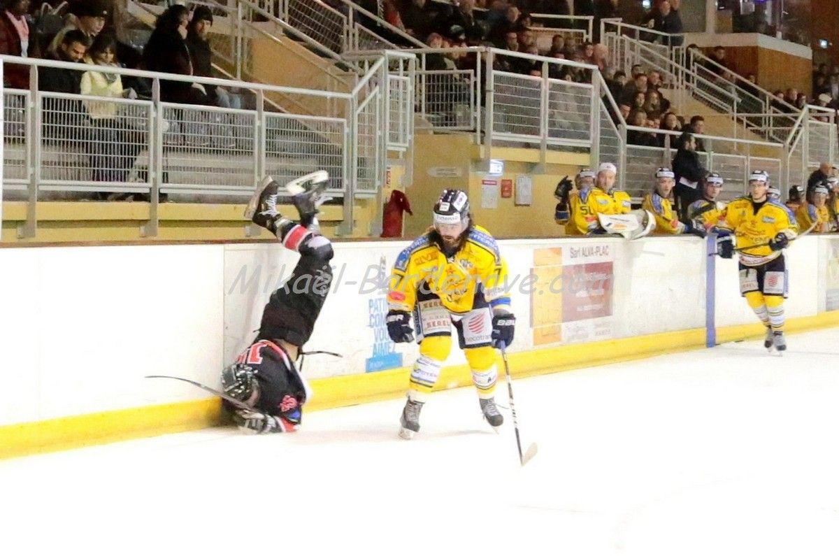 Les Belougas du THBC Vs Dunkerque 2015