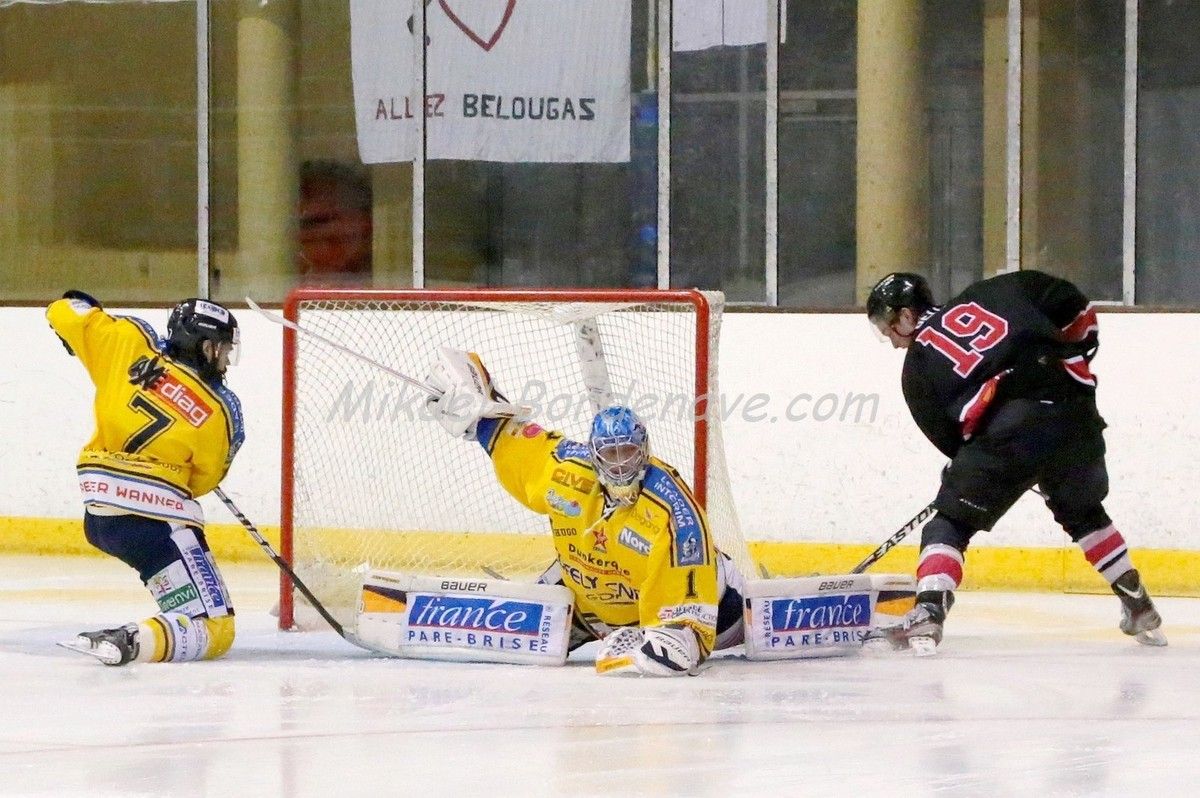 Les Belougas du THBC Vs Dunkerque 2015