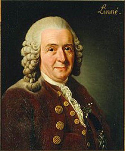 Carl von Linné, (1707-1778)