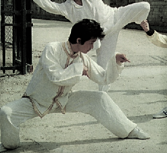 wang wei guo ; équipe de France de wushu