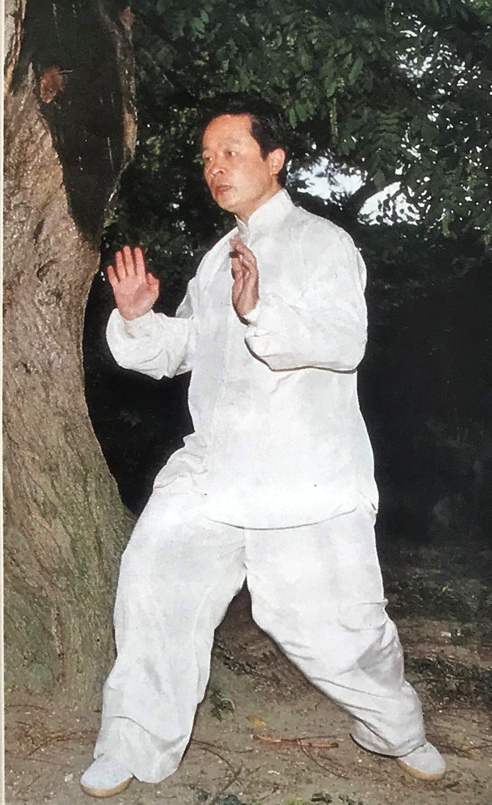 Wang Wei Guo http://pratiquerletaichi.over-blog.com/
