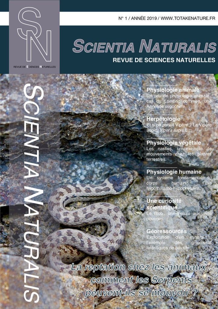 ISSN 2803-5658