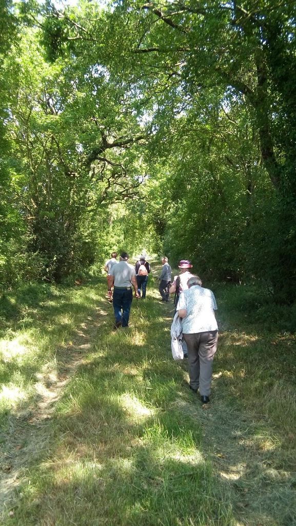 Visite à la ferme du Mont d'Or Regard chrétien sur l'actualité