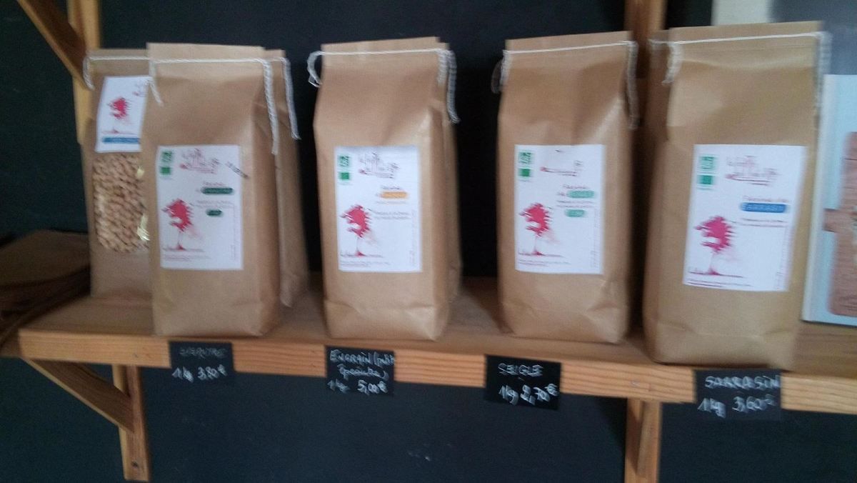 Visite à la ferme du Mont d'Or Regard chrétien sur l'actualité