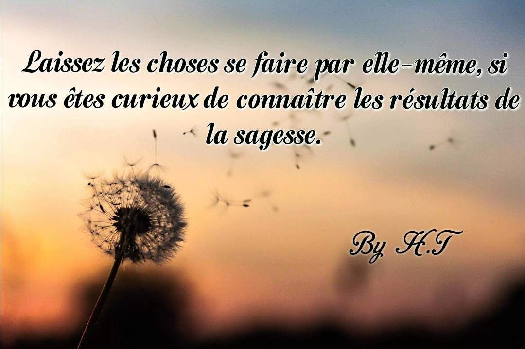 Citation La Sagesse Dialyss Citation La Sagesse Dialyss