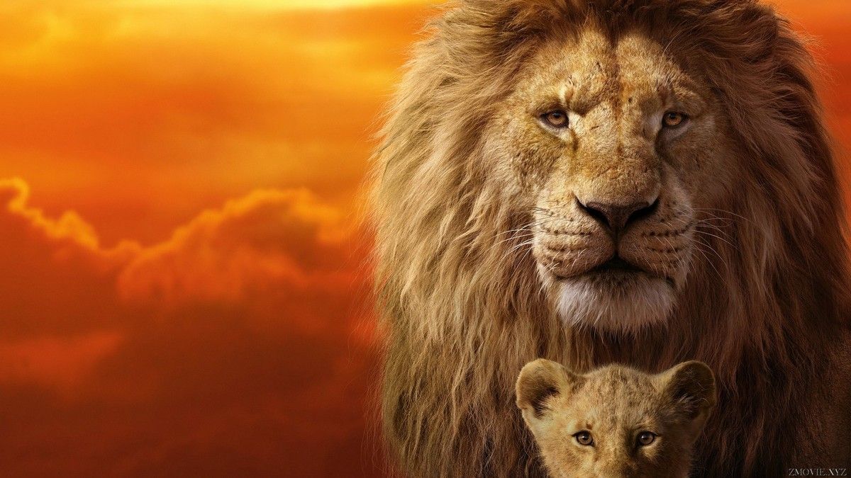 Cuevana El Rey León Pelicula Completa Latino Hd Ver El Rey León 2019 Pelicula Completa