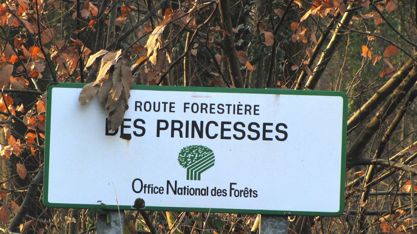 carrefour_Route Forestière des Princesses_D130
