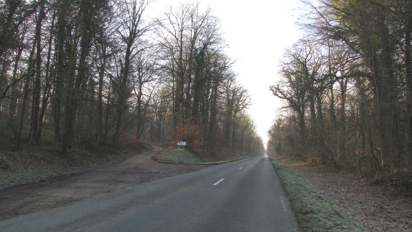 carrefour_Route Forestière des Princesses_D130