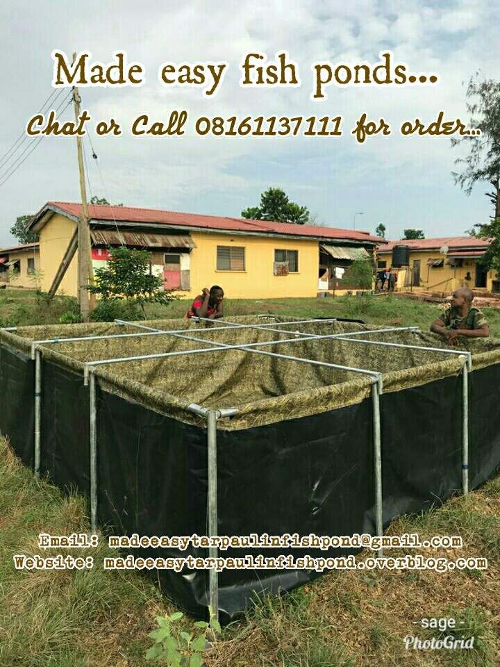 Our Gallery Made Easy Tarpaulin Fish Pond