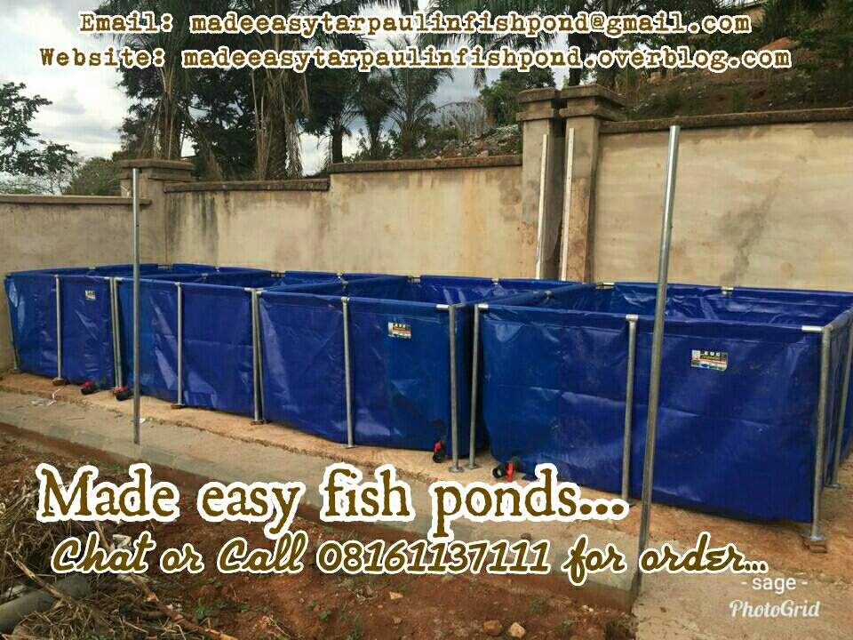 HOW TO QUICKLY DETECT OR SUSPECT CRACK HEAD DISEASE AT ITS EARLIEST STAGE Made Easy Tarpaulin