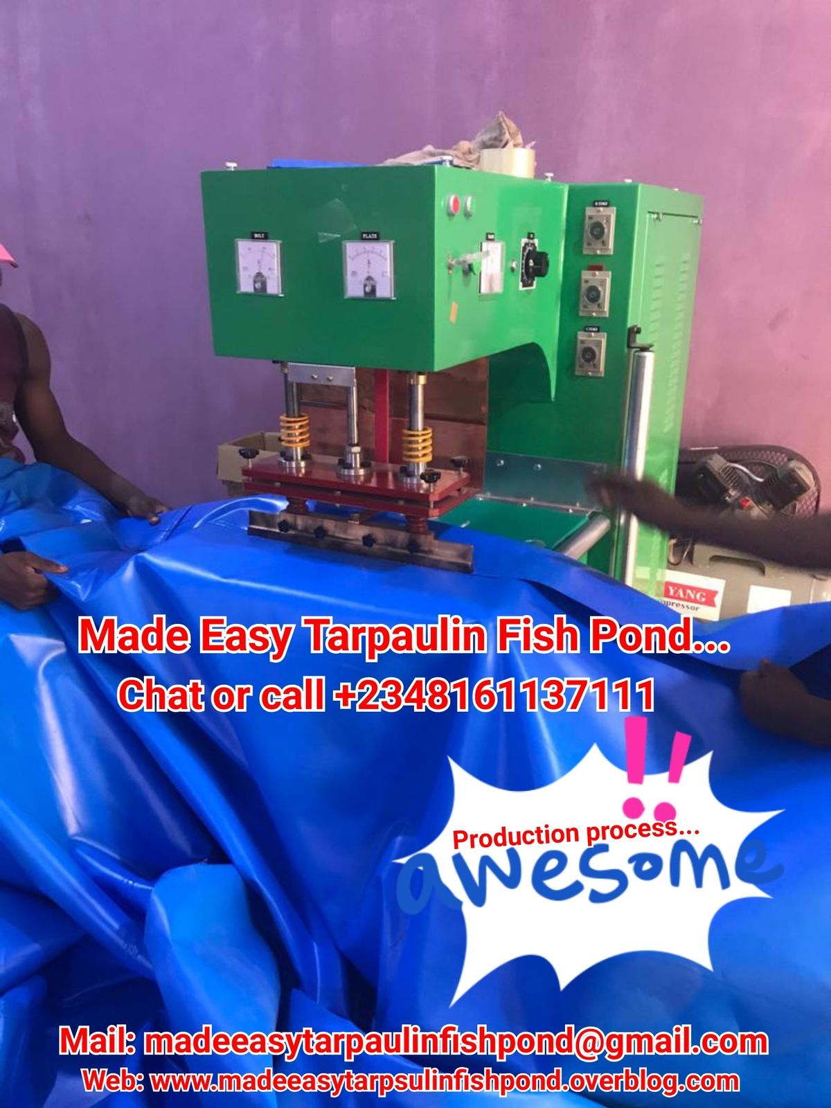 Our Gallery Made Easy Tarpaulin Fish Pond