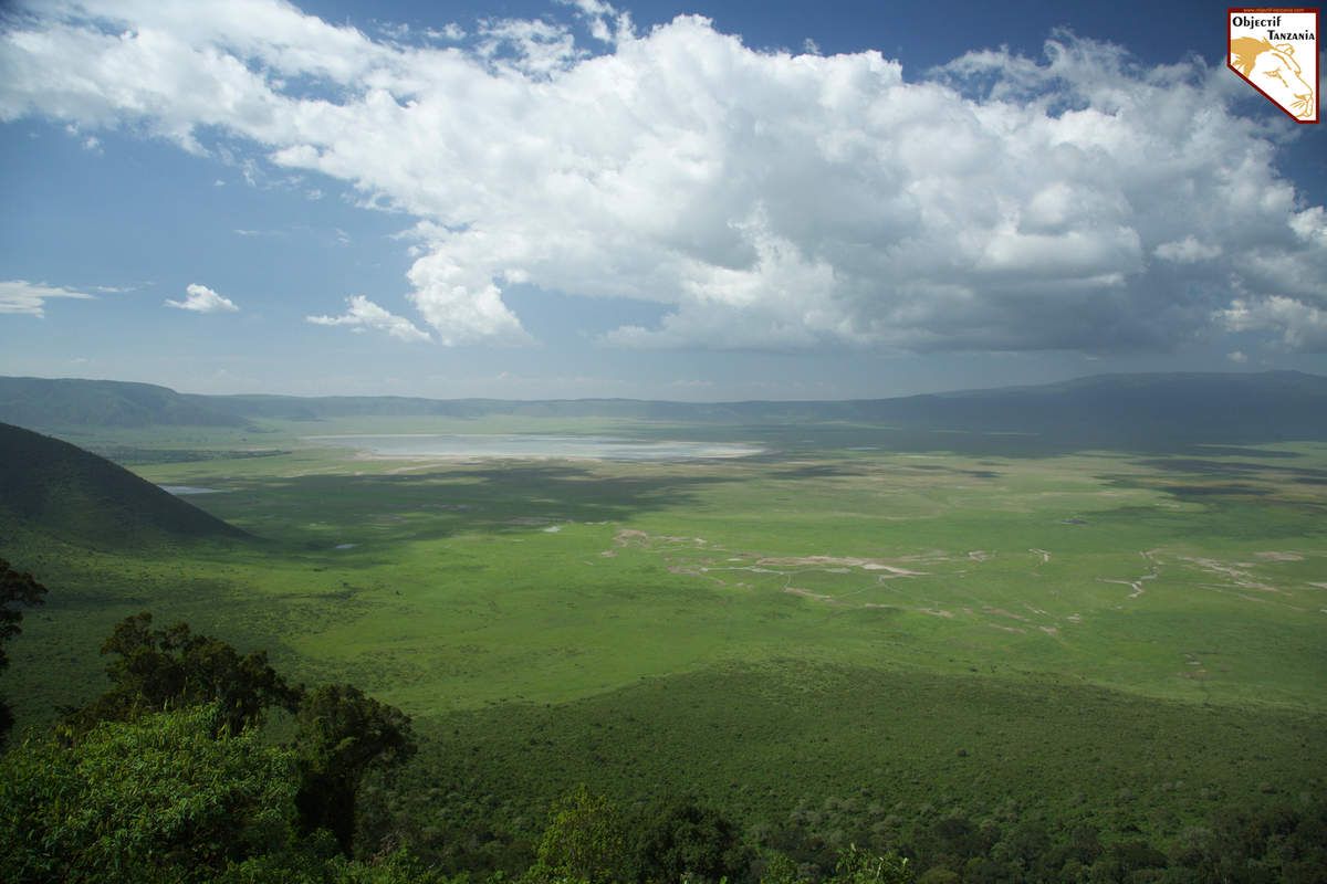 Réaliser un safari ne s’improvise pas et il faut un minimum d’informations, vous pouvez donc contacter Objectif Tanzania pour nous poser toutes les questions relatives à l’organisation de votre voyage en Tanzanie
