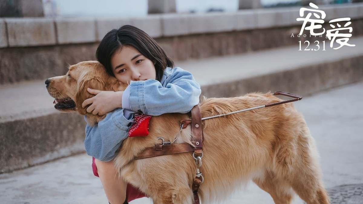 宠爱 Adoring 電影完整版 19 在線免費 Hd Filmovie Hd 宠爱 Adoring 電影完整版 19 在線免費 Hd Filmovie Hd