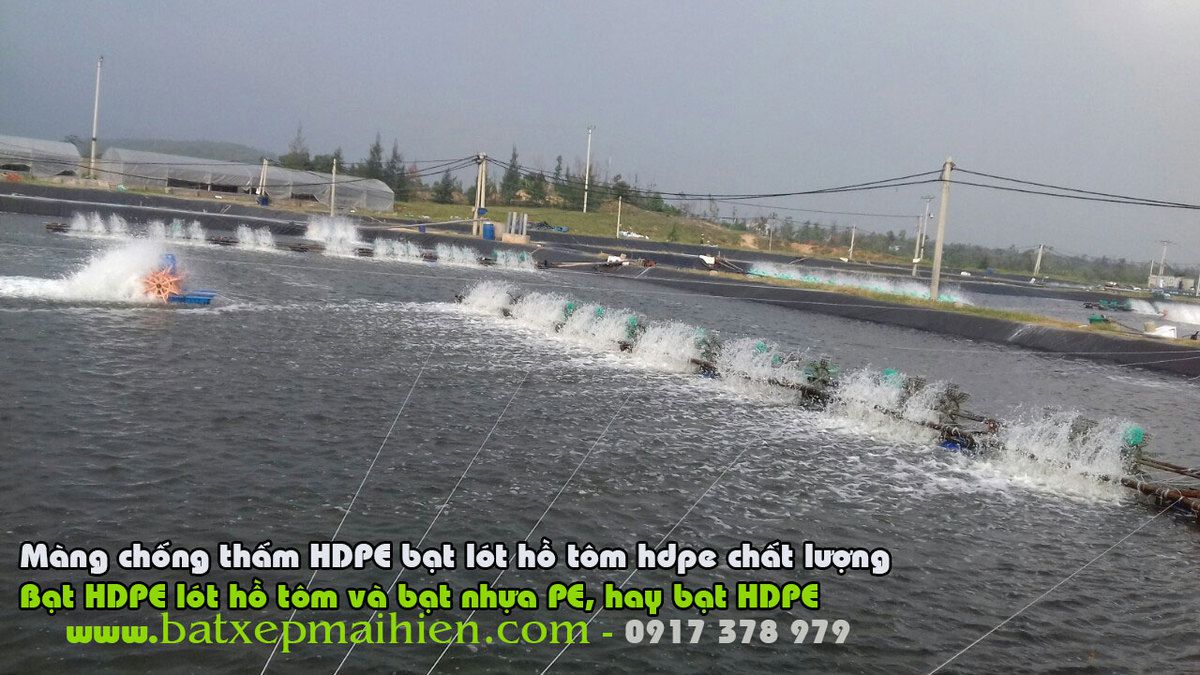 Bạt Lót Ao Hồ  Nuôi Ốc Hương, Bạt HDPE Lót Hồ Nuôi Ốc Giá Rẻ