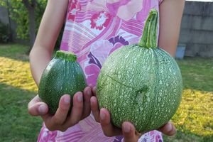 NATUREL vs. PESTICIDES et ENGRAIS CHIMIQUES
