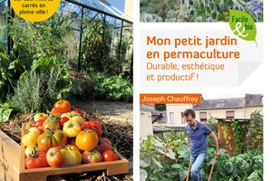 Mon petit jardin en permaculture, Joseph Chauffey, chez Terre vivante