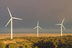 Nuisances visuelles, si les médecins le disent alors je m'incline, mais alors que va-t-on supprimer des paysages?