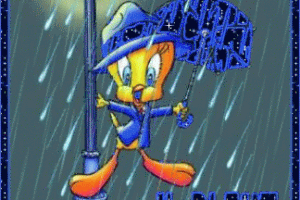 UN DIMANCHE DE PLUIE SUR LA BIEVRE